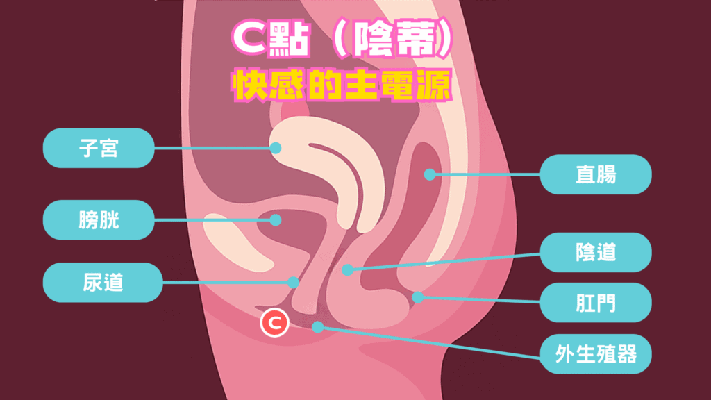 女生c點 女生c點