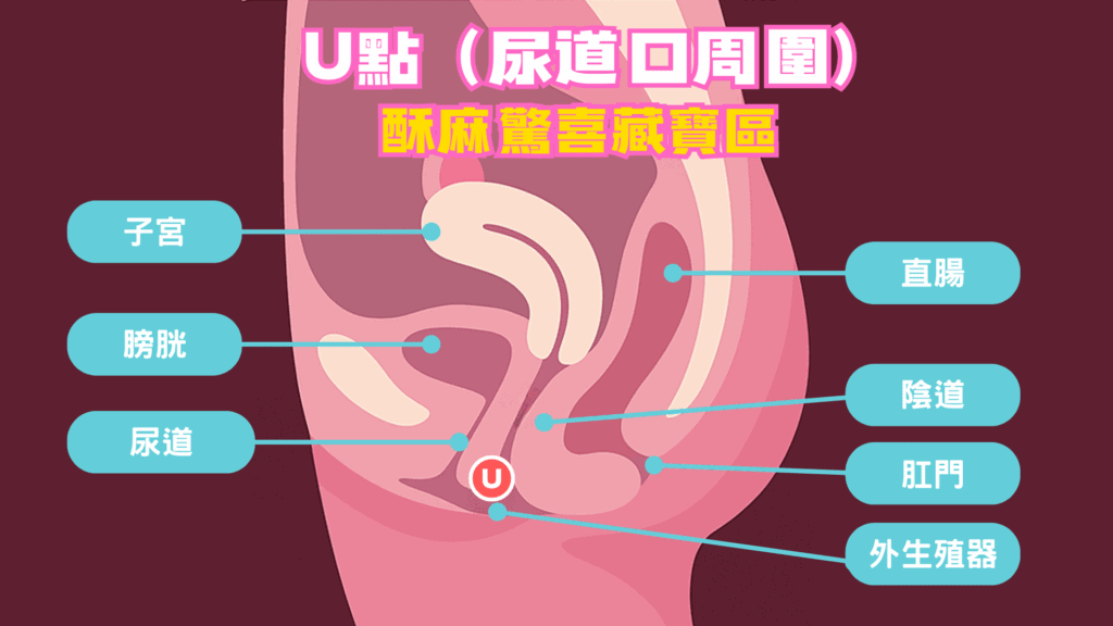 女生U2點 女生u點