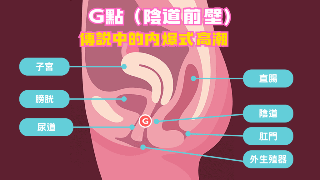 3 女生G點